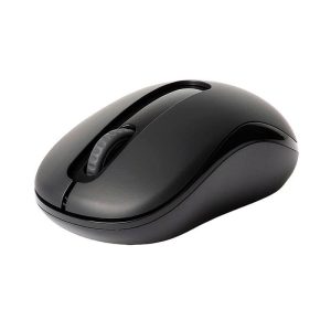 Mouse Rapoo 2.4 Ghz Black com pilha M10 - RA007